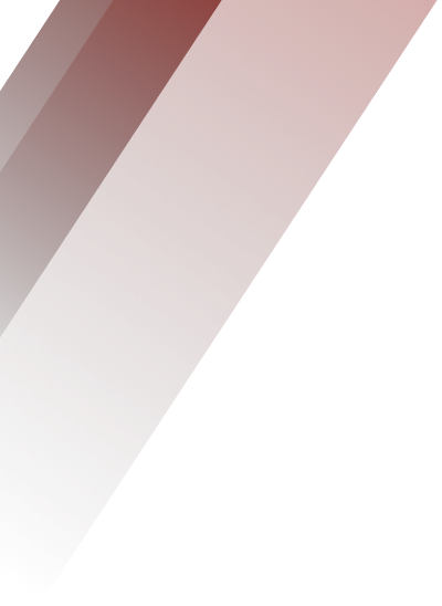 packers movers services